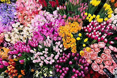 分析师：任天堂新款主机将于2024年发布